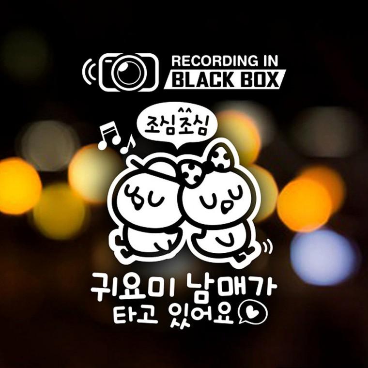BLACK BOX 귀요미남매가타고있어요 반사시트지 자동차스티커