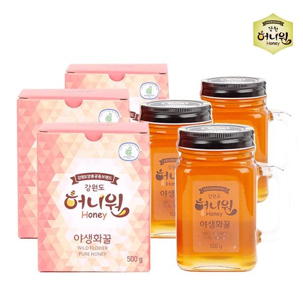 허니원 야생화(잡화) 벌꿀 핸들컵 500g 3병
