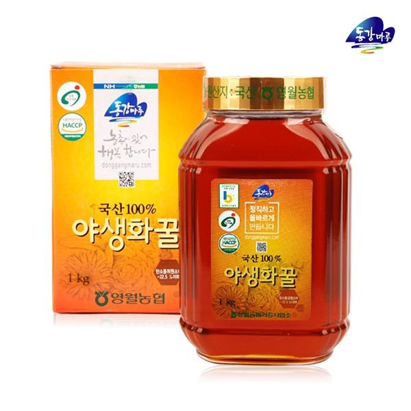 영월농협 동강마루 야생화꿀 병1kg