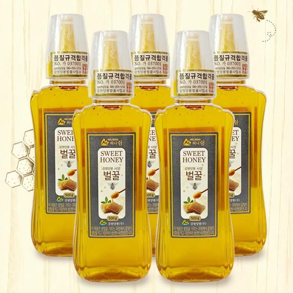 강원양봉 허니쉼 사양벌꿀 500g 5통(튜브)
