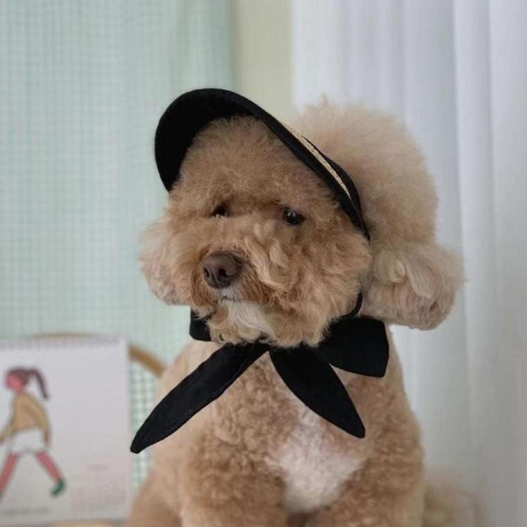 애견 강아지 여름 리본 밀집 모자 아이보리 블랙 썬캡 반려견악세사리 강아지 여름옷 썬캡 모자 옷