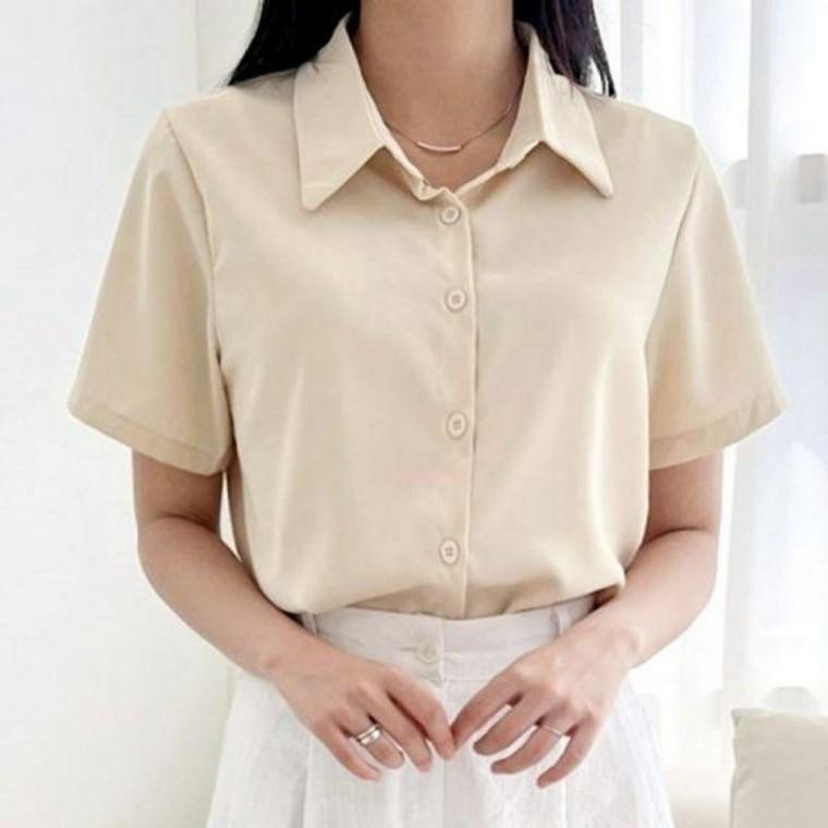 심플 카라 여자 블라우스 실크 반팔 여름 라인 블라우스 여름 반팔 셔츠
