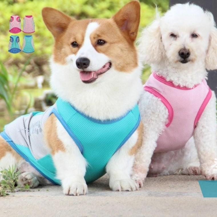 여름 강아지 쿨조끼 쿨티 반사 베스트 쿨링 강아지쿨조끼 여름쿨티 반사쿨링베스트