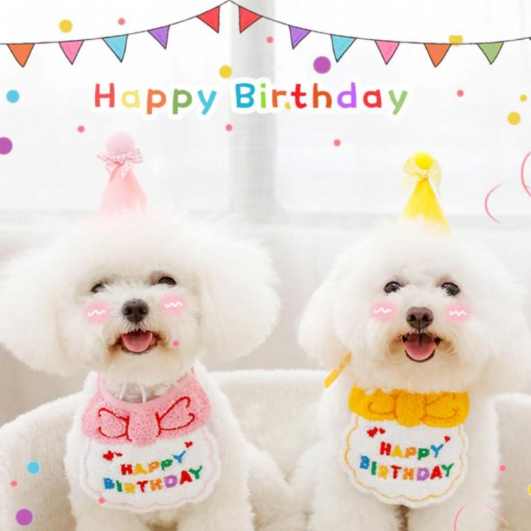 [엠에스] MS23034 반려동물 생일파티 용품/애견용품/반려견/반려묘/애완용품
