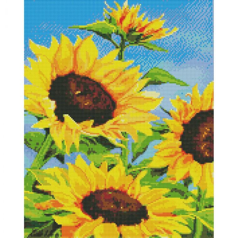 하모니아트 DIY보석십자수 캔버스형 40X50 해바라기와 파란하늘