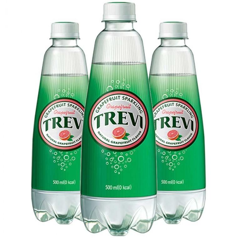 트레비 롯데 자몽 500ml x 24개입 탄산수
