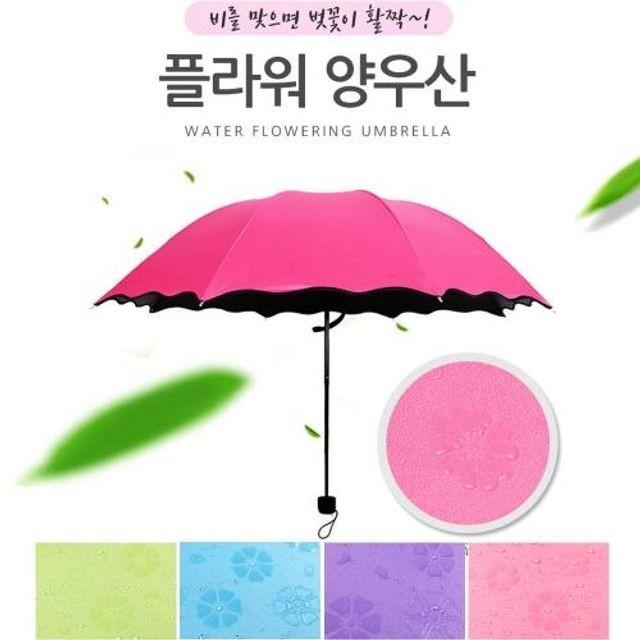 튼튼한 비오면 벗꽃이 플라워 암막 양우산 양우산
