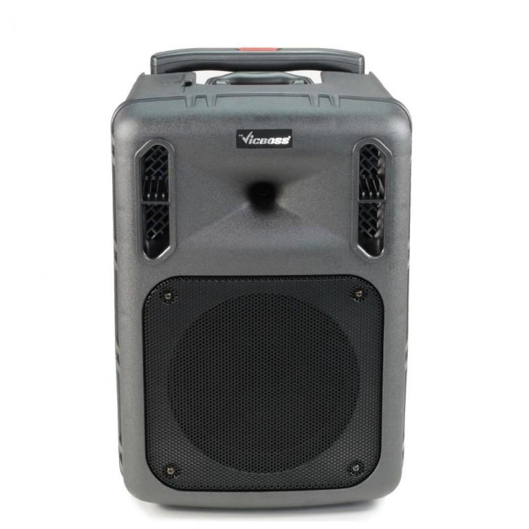 교회 포터블 버스킹 앰프 이동식 스피커 300W 베이스