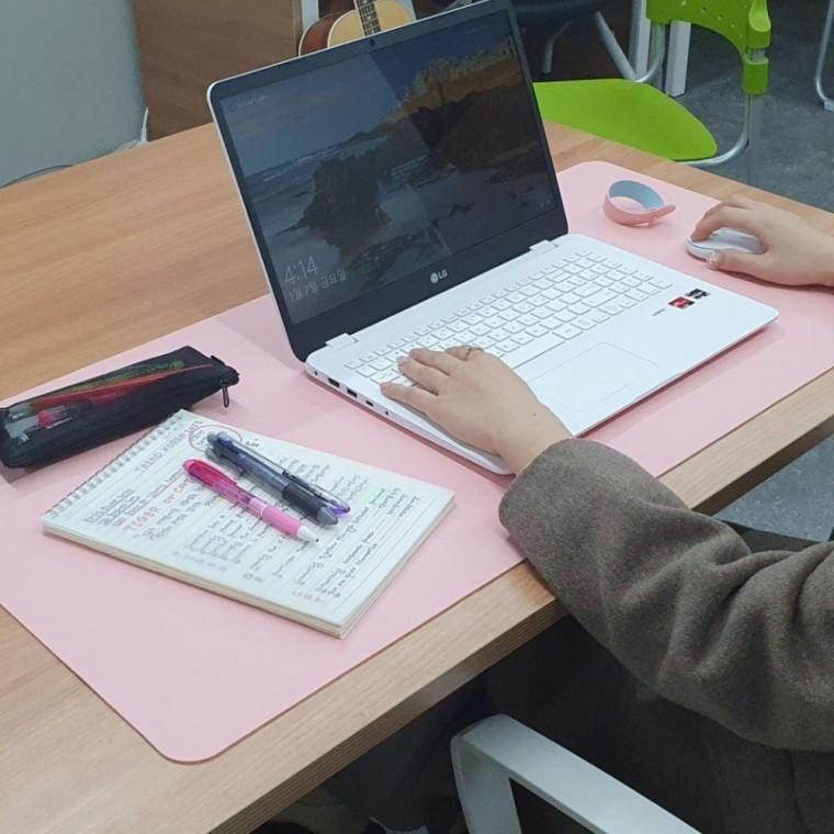 양면 가죽 장패드 데스크 매트 베이비핑크 책상 깔개