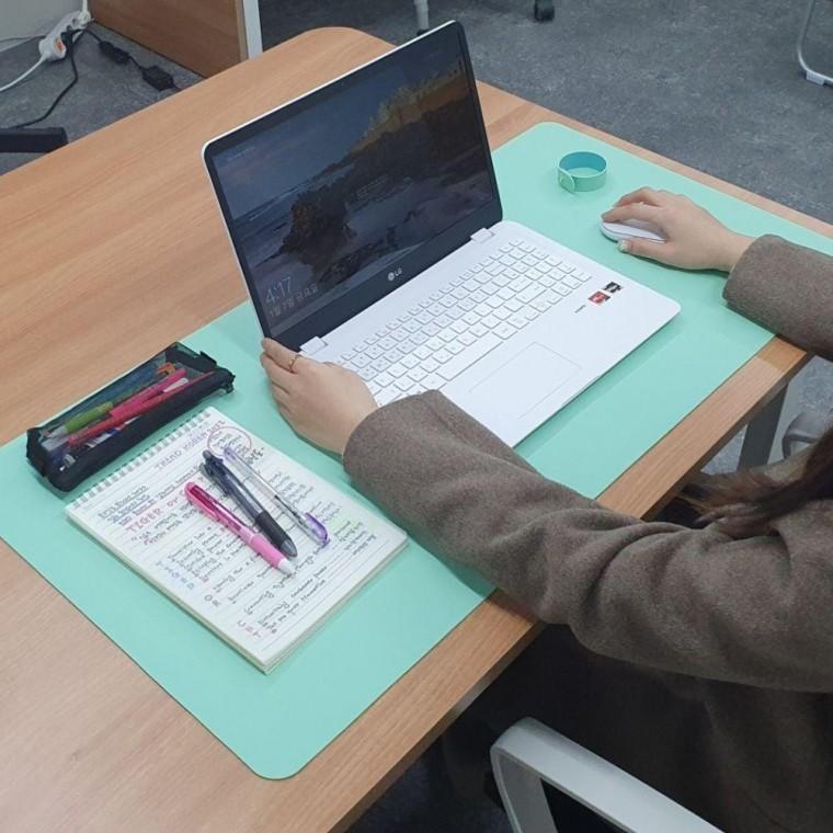 양면 가죽 장패드 데스크 매트 소프트 그린 책상 깔개