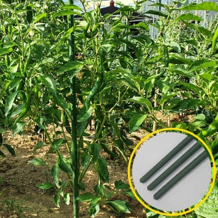 굵은 텃밭 화분 식물지 지대 90cm 3P 지지대 화초 오이지 토마토