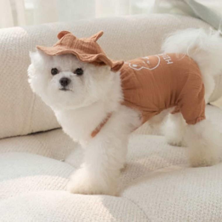 강아지 곰돌이 옷 애견여름옷 댕댕이옷 강아지나시티 고양이나시