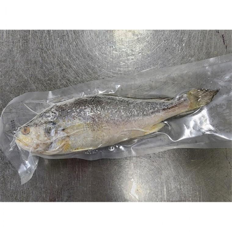 군산제조가공 고품질 반건조 부세굴비 왕특대 5마리