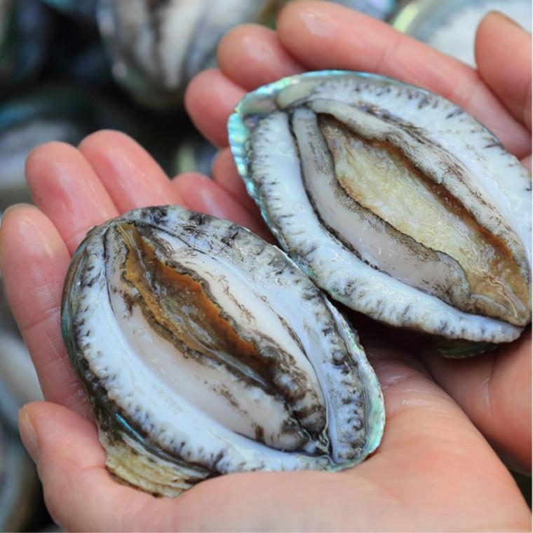 청정 완도산 실속형 2kg 전복 선물세트(고급가방포장)