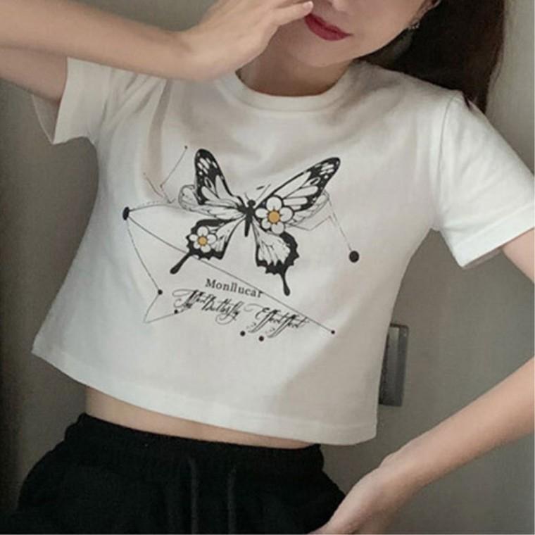 크롭 여성캐주얼티셔츠 반팔 심플룩코디 티셔츠 일상코디룩 젊줌마 여성모던룩 데일리룩아이템 일상룩 나비