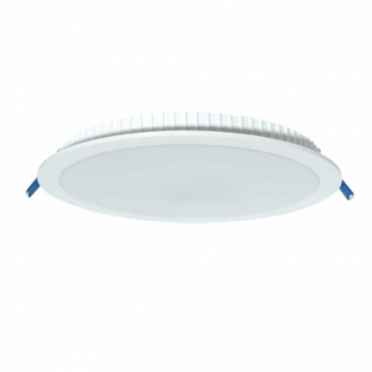 다운라이트 20cm 30W 주광색 사무실조명 LED천장등 LED조명기구 엘이디전구