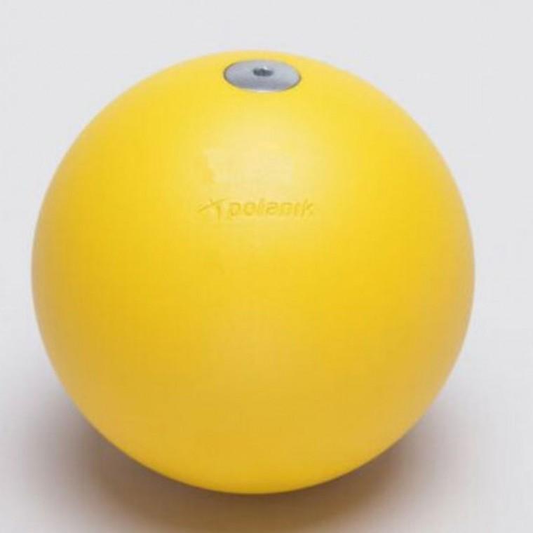 다우리 포환 육상 시합 투포환 공인품 포환 3kg 100mm