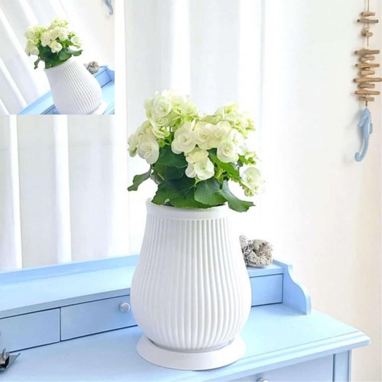 고강도 플라스틱 화분 20x30cm 세로줄 물병 미니화분 매장화분 인테리어화분 식물화분