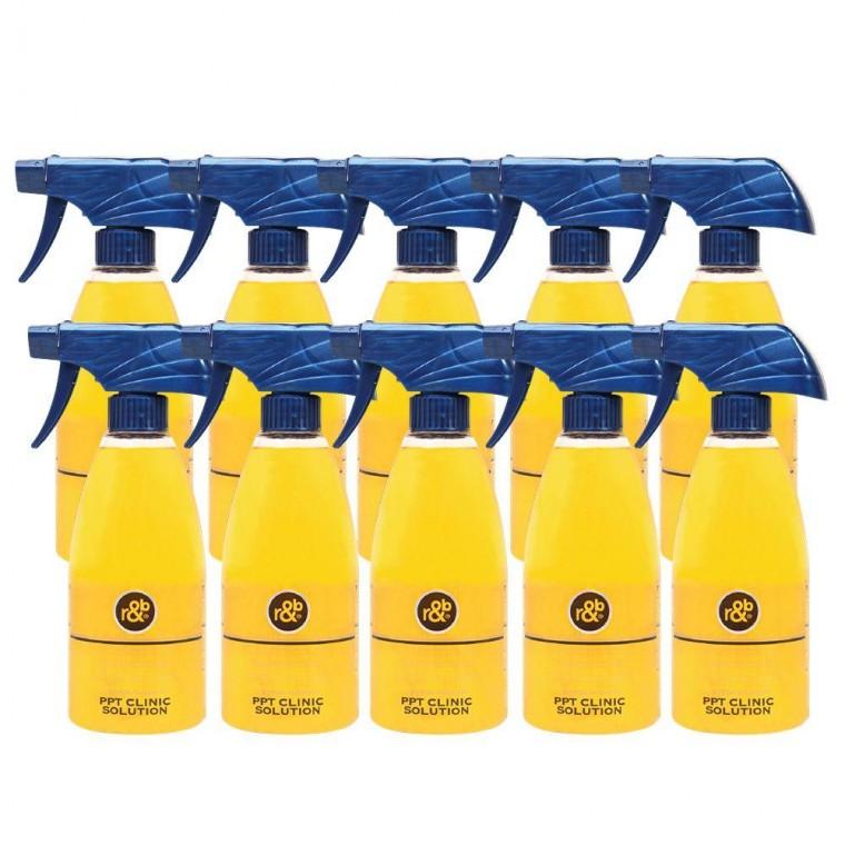알앤비 피톤테라피 PPT 클리닉 솔루션 500ml 10개입