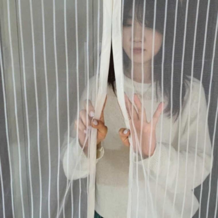 현관문모기장 화이트 아파트현관방충망 출입문방충망 현관방충망
