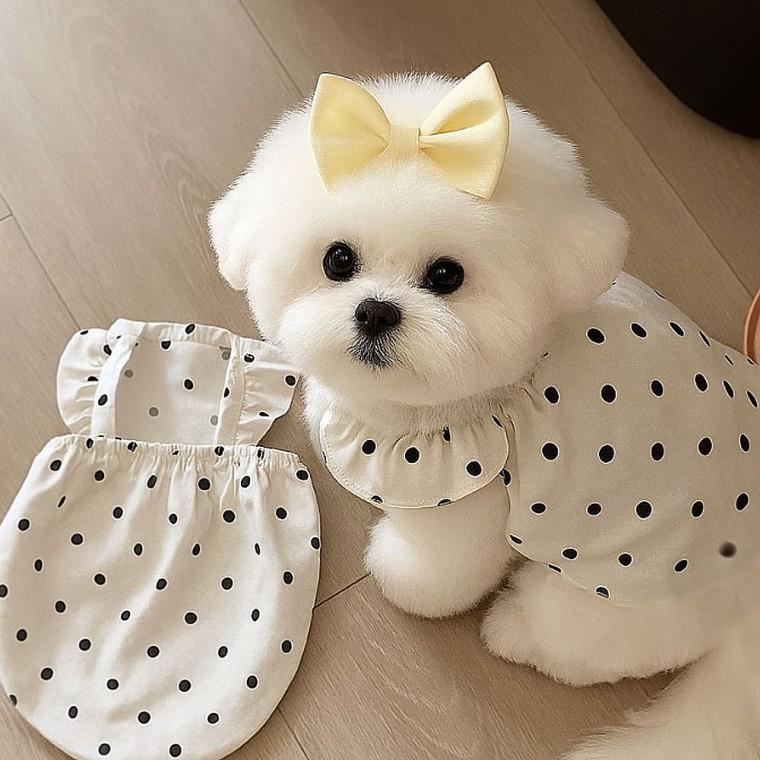 도트 프릴 땡땡이 패턴 강아지 원피스 애견의상