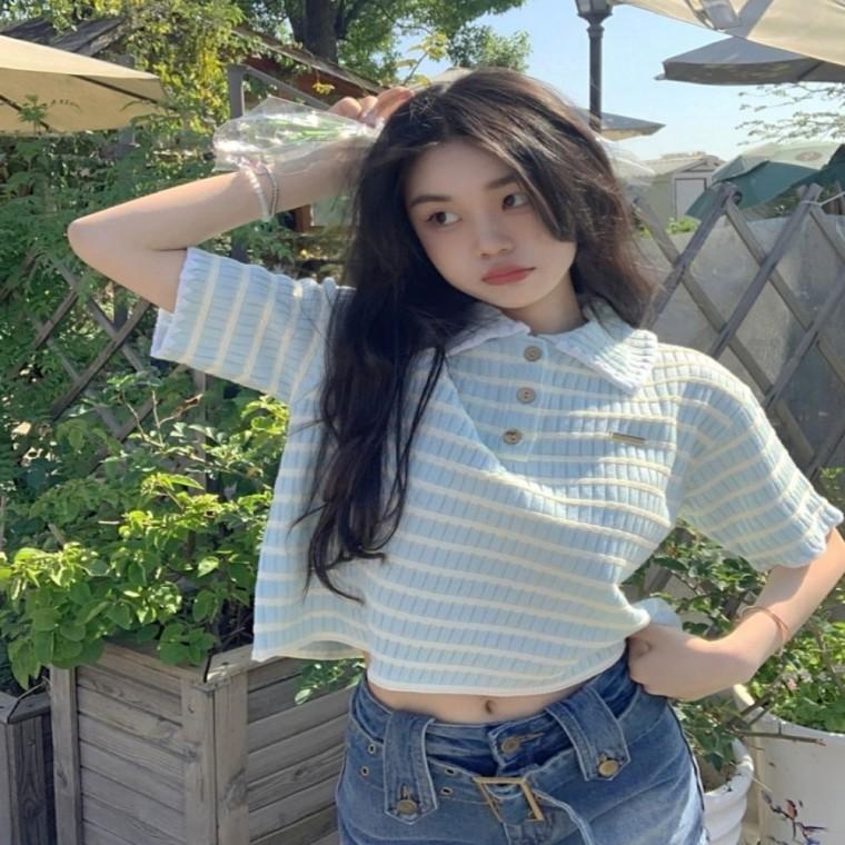 단가라 여성티셔츠 쿨한 러블리 여자 반팔티셔츠 카라 여름 여자반팔티