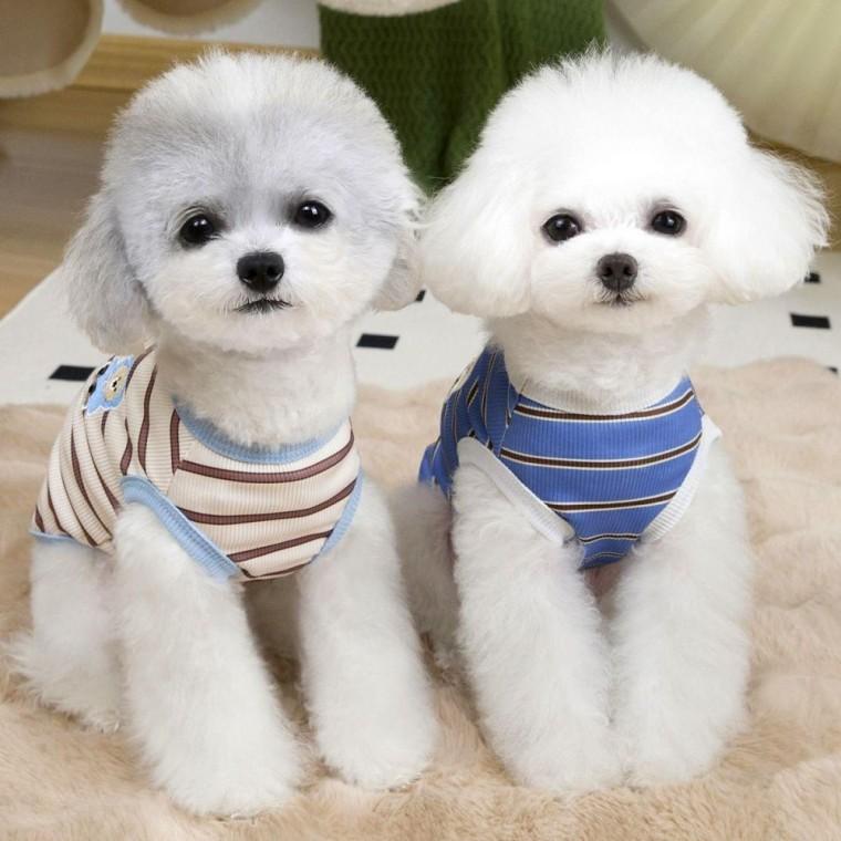 귀여운 강아지 티셔츠 반려동물옷 여름용