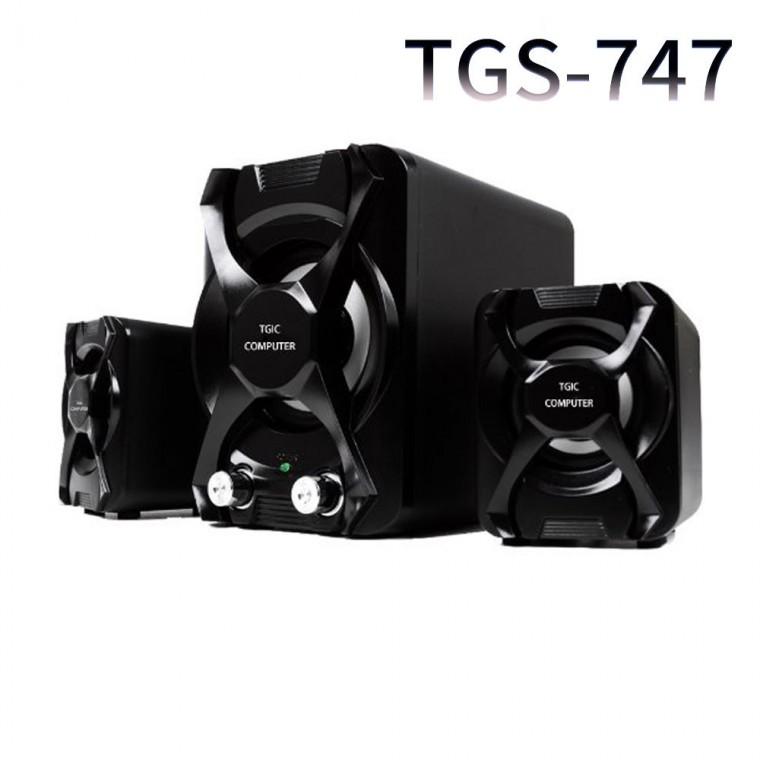 TGS 2.1채널 우퍼스피커 (TGS-747)