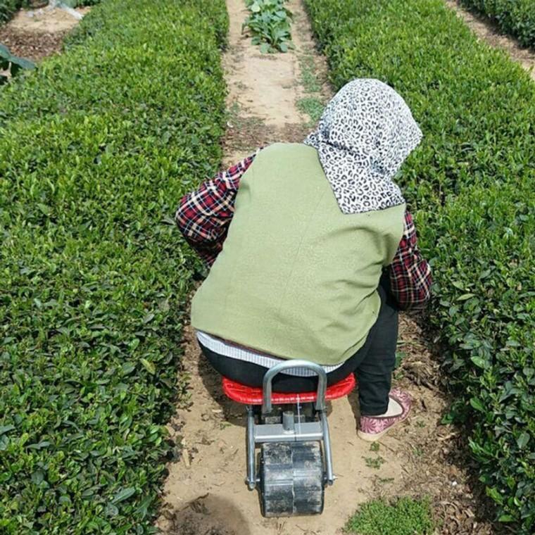 고추 의자 밭농사 농사용 따는 회전 농업용 작업의자