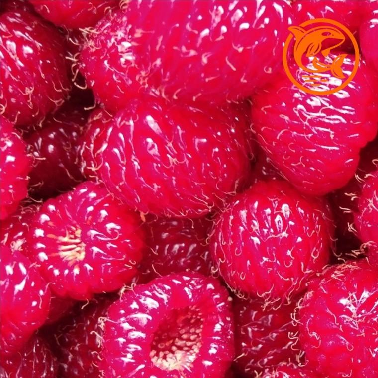 냉동 장기산딸기 스무디 재료 500g 깊고 진한 맛의 건강한 스무디