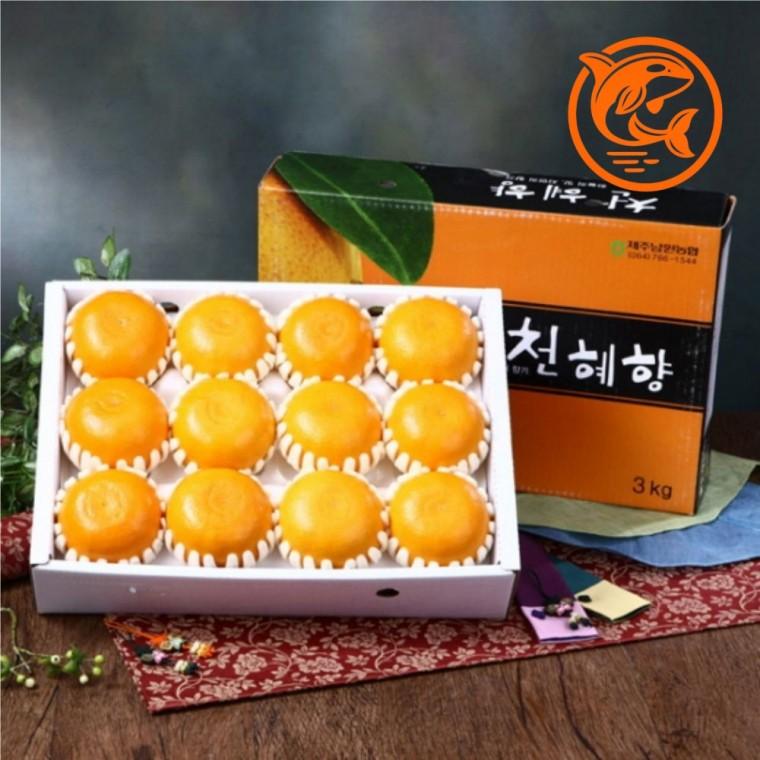 신선한 감귤맛 천혜향 과일 바구니 향긋한 간식과 달콤한 즐거움