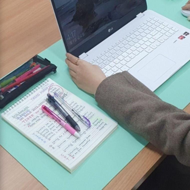 장패드 데스크매트 소프트그린 양면 가죽 데스크패드