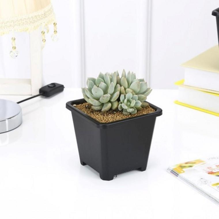 사각 플라스틱 모종 화분 9 x 9cm