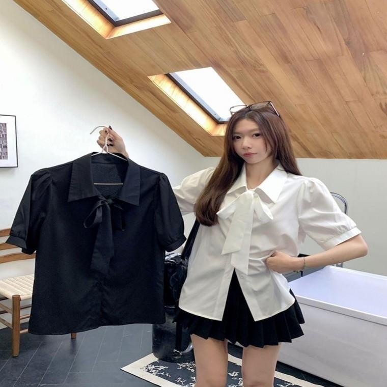 카라블라우스 베이직 데일리룩 반팔 셔츠 캐주얼 2컬러 여름 여성 블라우스 리본카라 캐주얼블라우스