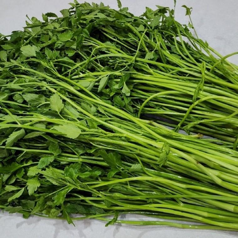 국내산 미나리 1kg