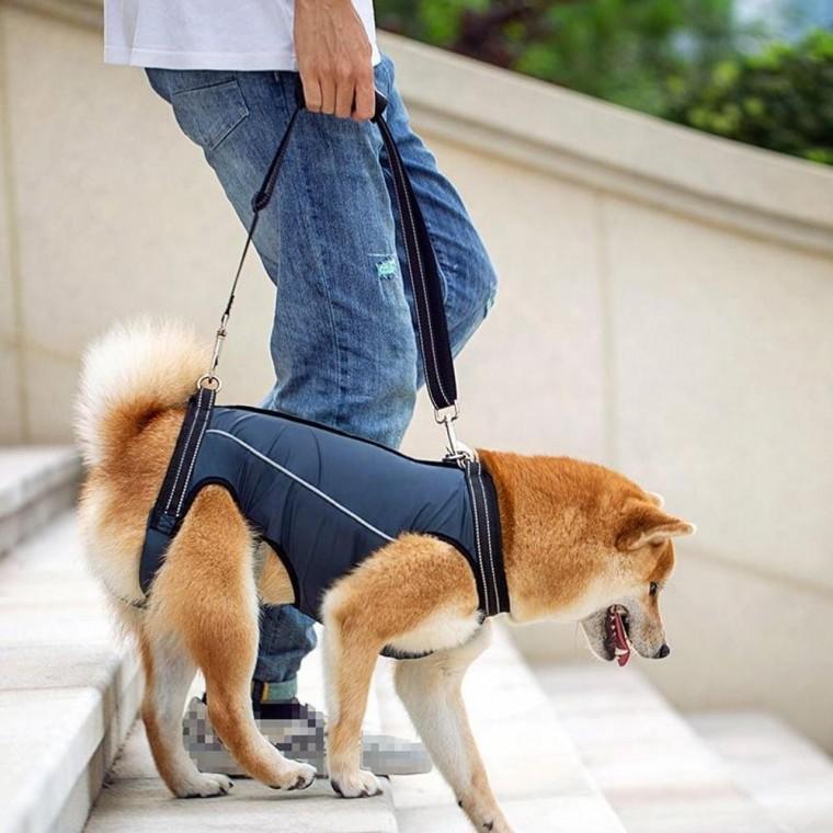 보행 반려동물 고령견 하네스 보조복 노견 S 재활 디스크보조기 애견 재활