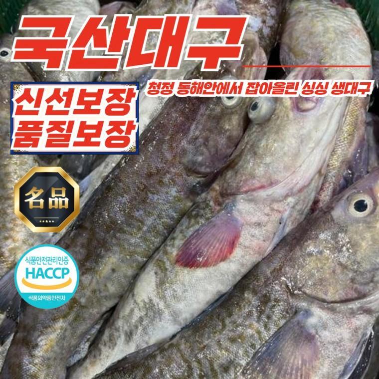 주문진 국산 급냉 생대구 2kg (2-4미내외)