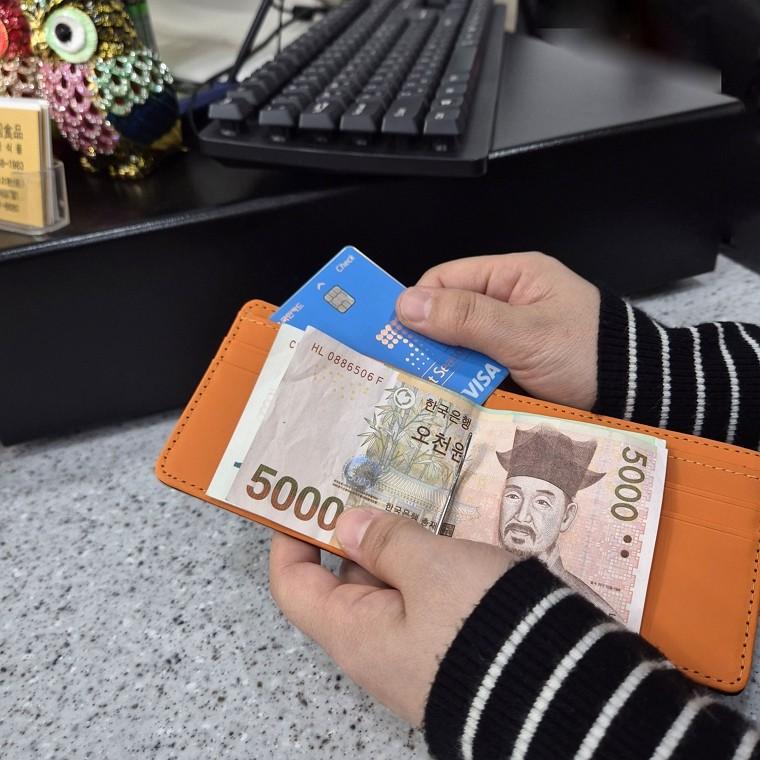 심플 머니클립 카드 지폐 지갑