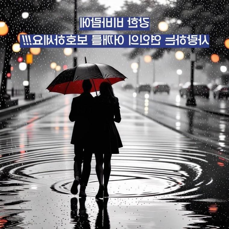 대형 튼튼한 장우산 방풍 자동 122cm 골프우산 태풍우산 24살장우산