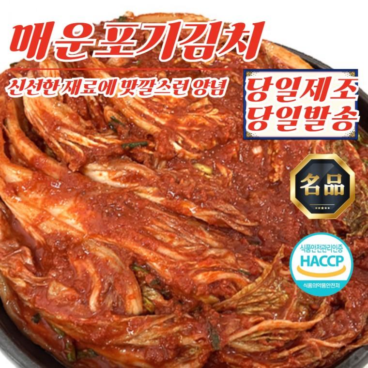 건채담 당일제조 매운 전라도 포기김치 5kg
