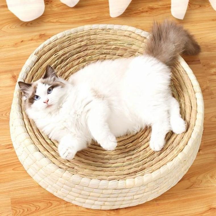 고양이 꾹꾹이 방석 중형 35cm 스크래처 고양이용품