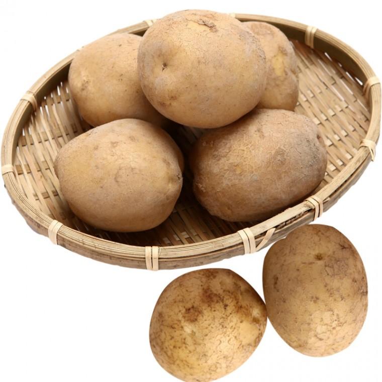 햇감자 대 수미감자 4.5kg