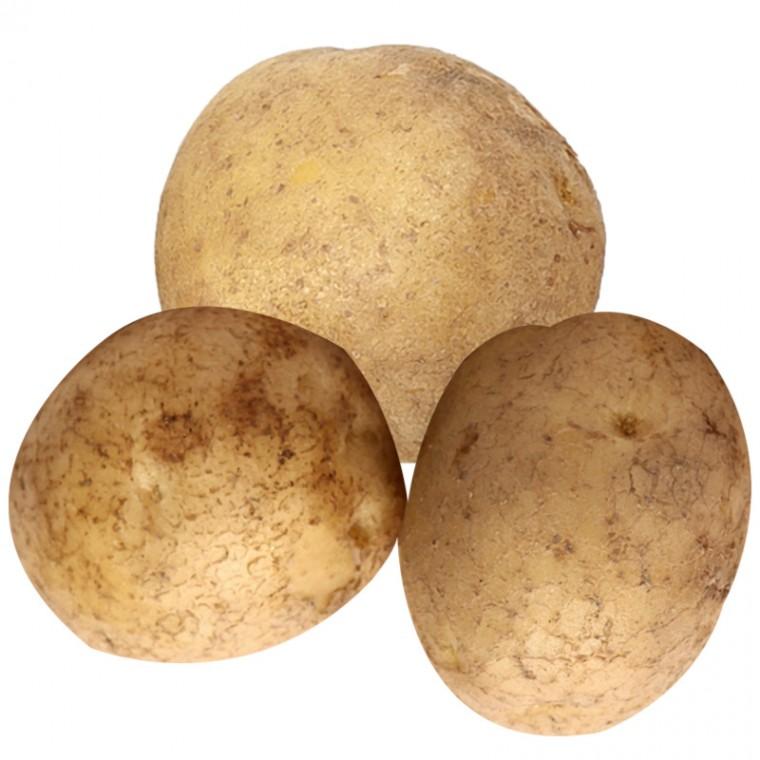 햇감자 특 수미감자 4.5kg