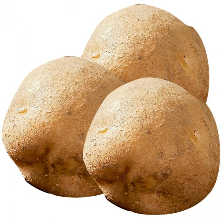 햇감자 왕특 수미감자 9kg