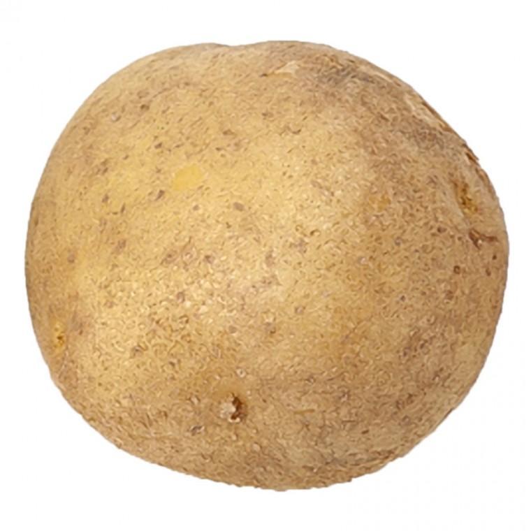 햇감자 왕특 수미감자 4.5kg