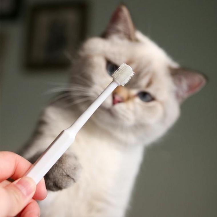 PET 강아지 고양이 칫솔 양치 입냄새 치석제거 원형 360도