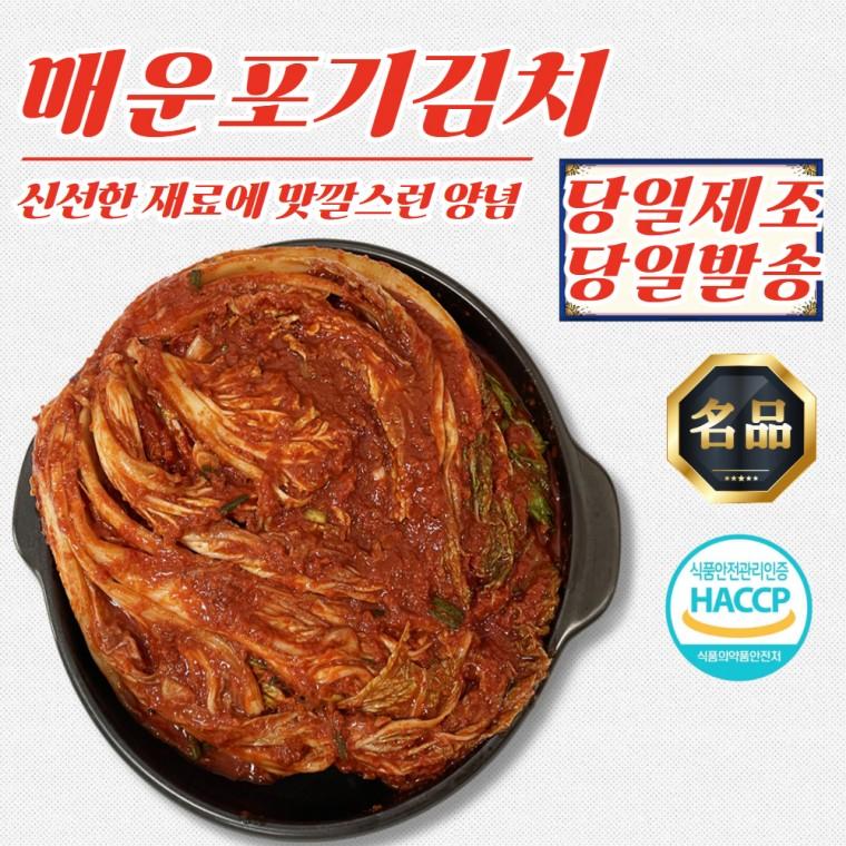 건채담 당일제조 매운 전라도 포기김치 3kg