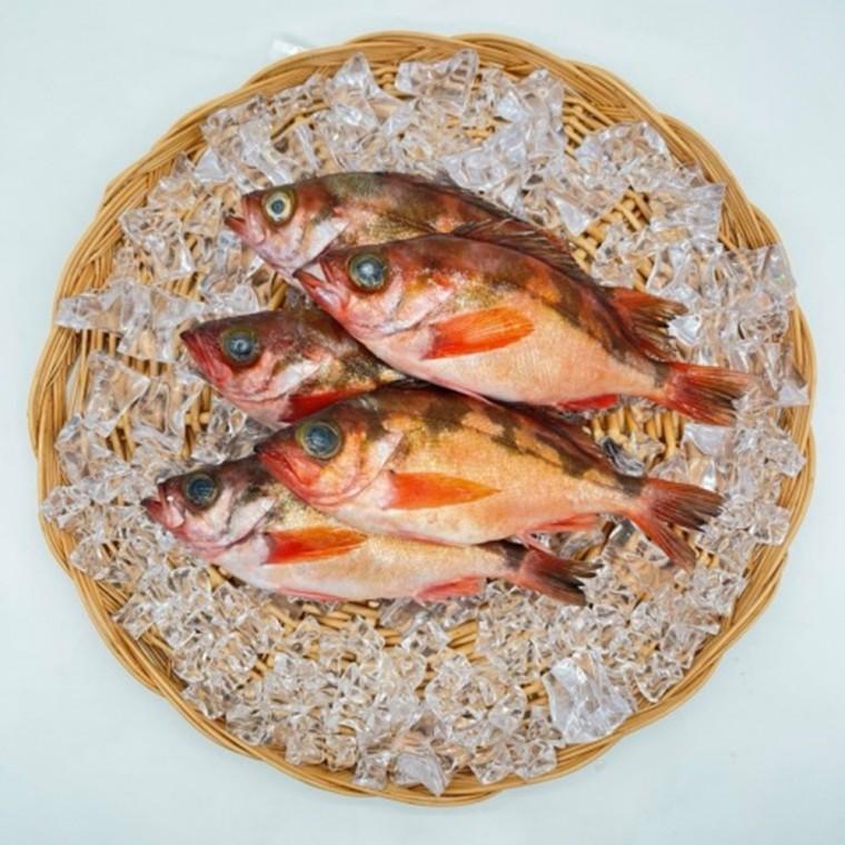 VDG 독도산 프리미엄 특대 볼락 2kg