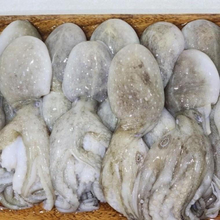 냉동 주꾸미 3kg 통쭈꾸미 상품