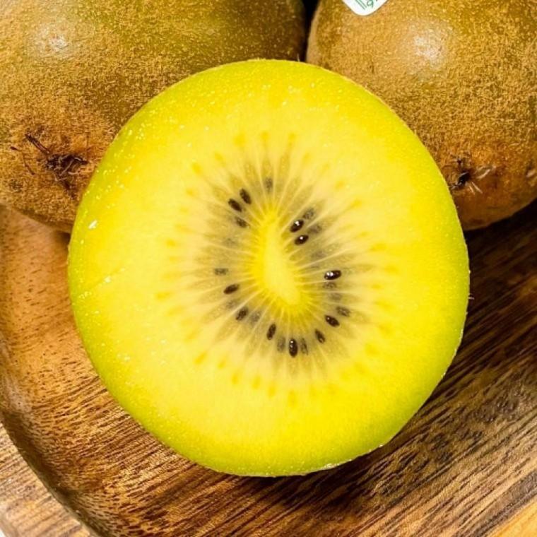 골드키위 왕점보 25개 과일 간식 fresh fruit